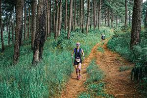 BIB: 
                            <button type="button" onclick="openModal(25669364)" class="btn btn-primary btn-sm float-right btn-popup" data-toggle="modal" data-target=".modal-high-quality">
                        <i class="fas fa-shopping-cart"></i> Add to Cart
                    </button>
                                            <button type="button" onclick="isThisMe(25669364, true)" class="btn btn-success btn-sm float-right btn-popup btn-isme hidden" data-toggle="tooltip" data-placement="bottom" title="นี่คือรูปของคุณใช่ไหม คลิกที่นี่เพื่อเอาเข้าอัลบั้ม">
                        <i class="fas fa-plus"></i> Add to album
                    </button>
                    <button type="button" onclick="isThisMe(25669364, false)" class="btn btn-warning btn-sm float-right btn-popup btn-isnotme hidden">
                        <i class="fas fa-ban"></i> Remove from album
                    </button>